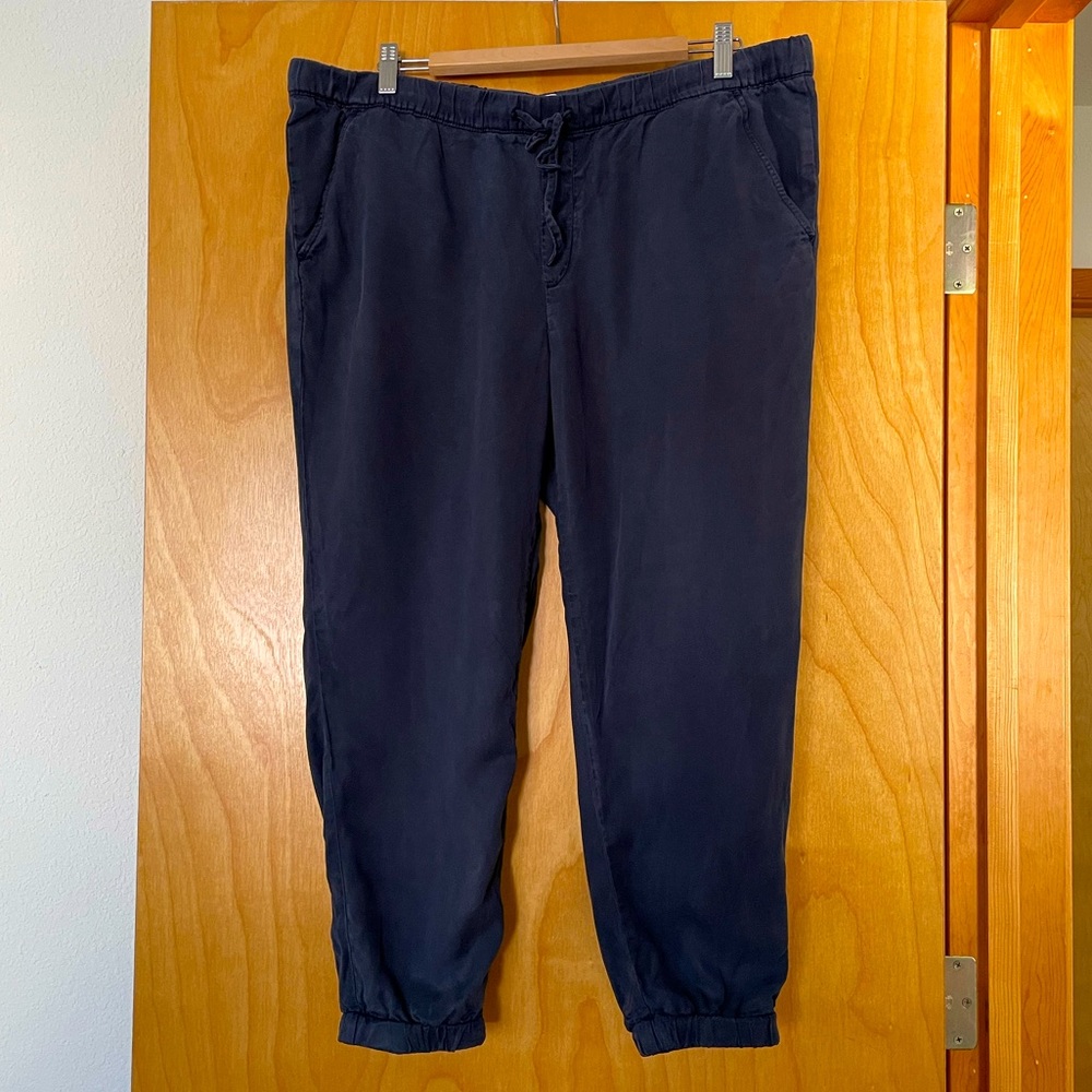 EUC Daily Ritual Lyocell Jogger Pants Navy Size 16